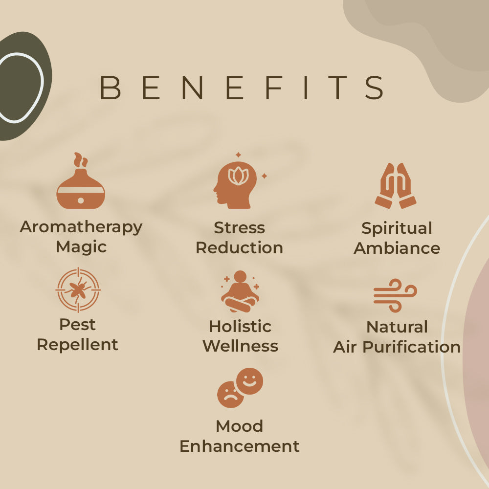 Haziro Camphor Hanging Camphor cone - Pack of 1| 100% Organic | Natural Air Freshener with Long-Lasting Fragrance for Room, Car, Cupboard, and Bathroom/toilet