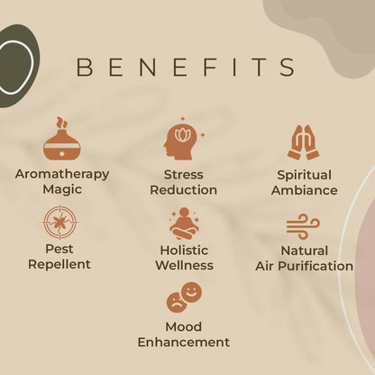 Haziro Camphor Hanging Camphor cone - Pack of 1| 100% Organic | Natural Air Freshener with Long-Lasting Fragrance for Room, Car, Cupboard, and Bathroom/toilet