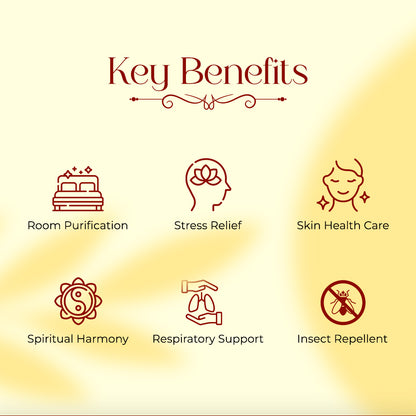 Haziro Pure Teblet Camphor Container (100g x 1 Jar) 100% Pure Kapoor/Camphor Tablets 100gm