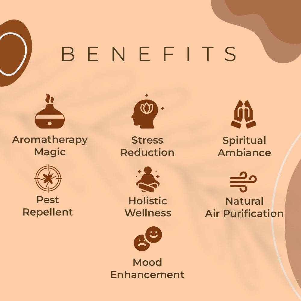 Haziro Camphor Cone (Sandalwood) Pack Of 1-100% Organic | Air Freshener For Car, Wardrobe, Office Cabin's, Drawers, Travel Bag & Bathroom/toilet