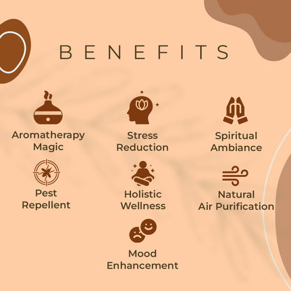 Haziro Camphor Cone (Sandalwood) Pack Of 1-100% Organic | Air Freshener For Car, Wardrobe, Office Cabin's, Drawers, Travel Bag & Bathroom/toilet