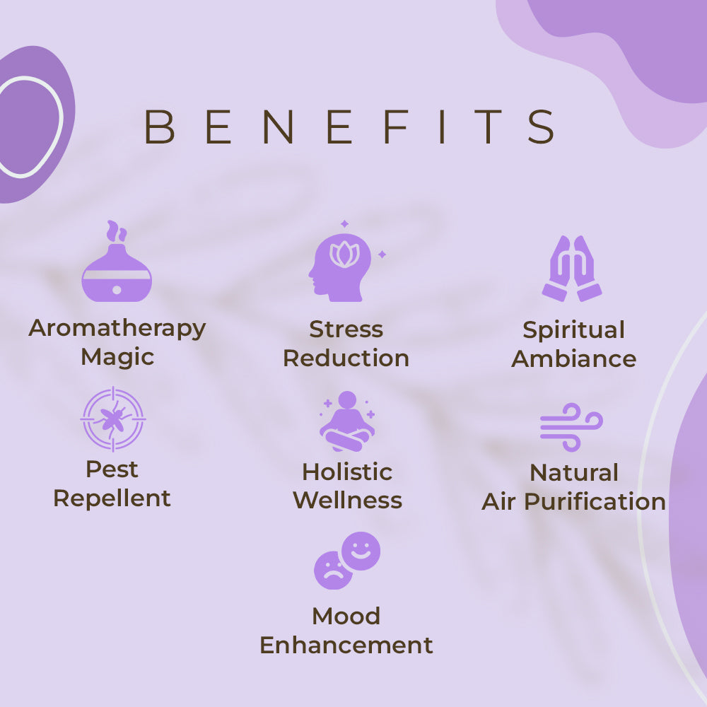 Haziro Camphor Cone (Lavender) Pack Of 1-100% Organic | Air Freshener For Car, Wardrobe, Office Cabin's, Drawers, Travel Bag & Bathroom/toilet