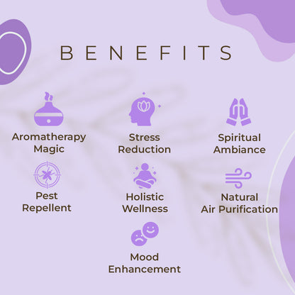 Haziro Camphor Cone (Lavender) Pack Of 1-100% Organic | Air Freshener For Car, Wardrobe, Office Cabin's, Drawers, Travel Bag & Bathroom/toilet